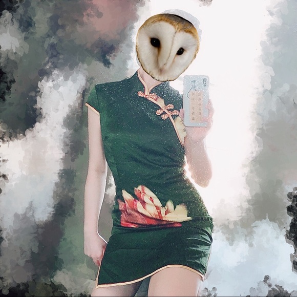 SILK DRESS - Genuine Silk Mandarin Qipao/Cheongsam - Picture 2 of 4